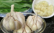 6 thực phẩm nên ăn để phòng bệnh phụ khoa 6 thực phẩm nên ăn để phòng bệnh phụ khoa