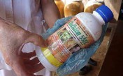 Con dâu cho mẹ chồng 81 tuổi uống thuốc trừ sâu Con dâu cho mẹ chồng 81 tuổi uống thuốc trừ sâu