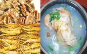 Món ăn bài thuốc cực tốt cho người thiếu máu Món ăn bài thuốc cực tốt cho người thiếu máu