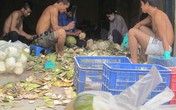 Kinh hoàng chứng kiến thương lái tẩy trắng dừa bằng hóa chất Kinh hoàng chứng kiến thương lái tẩy trắng dừa bằng hóa chất