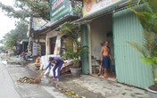 Hải Phòng hoạt động trở lại sau bão Hải Phòng hoạt động trở lại sau bão