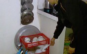 Tiếp vụ đánh bạc kỳ lạ và sự tưởng tượng của CQĐT: Kết luận cẩu thả, đổ lỗi cho đánh máy Tiếp vụ đánh bạc kỳ lạ và sự tưởng tượng của CQĐT: Kết luận cẩu thả, đổ lỗi cho đánh máy