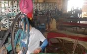Nga Sơn, Thanh Hóa: Nhìn vào cói, đói quanh năm Nga Sơn, Thanh Hóa: Nhìn vào cói, đói quanh năm