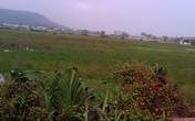 Tĩnh Gia, Thanh Hóa: Dân bỏ ruộng vì… quê lên phố Tĩnh Gia, Thanh Hóa: Dân bỏ ruộng vì… quê lên phố