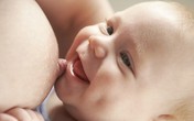 Lợi ích bất ngờ từ sữa mẹ Lợi ích bất ngờ từ sữa mẹ