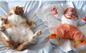 Không thể nhịn cười với chùm ảnh bé hài hước khi ngủ Không thể nhịn cười với chùm ảnh bé hài hước khi ngủ