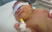 Rớt nước mắt những bé sơ sinh bị mẹ chối từ Rớt nước mắt những bé sơ sinh bị mẹ chối từ