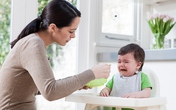 Nhiều thông tin hữu ích về việc cho con ăn dặm sắp được tiết lộ Nhiều thông tin hữu ích về việc cho con ăn dặm sắp được tiết lộ