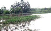 Đóng bè chuối kéo quan tài trên sông ở Hà Nội Đóng bè chuối kéo quan tài trên sông ở Hà Nội