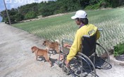 Chuyện hiếm thấy về 2 chú chó kéo xe chở chàng trai bị liệt Chuyện hiếm thấy về 2 chú chó kéo xe chở chàng trai bị liệt