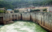 Đấu thầu phạm luật Đấu thầu phạm luật