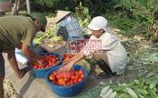 Cuộc sống bần hàn của “đại gia” từng một thời “lên xe xuống ngựa” Cuộc sống bần hàn của “đại gia” từng một thời “lên xe xuống ngựa”