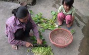 Éo le tình cảnh 2 mẹ con nghèo xơ xác cùng bị ung thư Éo le tình cảnh 2 mẹ con nghèo xơ xác cùng bị ung thư