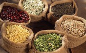 Trẻ thiếu magiê, có thể hôn mê Trẻ thiếu magiê, có thể hôn mê