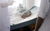 Cuồng yêu, tạt a xít cả nhà ân nhân Cuồng yêu, tạt a xít cả nhà ân nhân