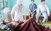 Cha con “người rừng” bối rối trước cuộc sống hiện đại Cha con “người rừng” bối rối trước cuộc sống hiện đại