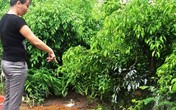 Vụ con tâm thần sát hại cha ở Nam Định: Nhát dao nát lòng người ở lại Vụ con tâm thần sát hại cha ở Nam Định: Nhát dao nát lòng người ở lại