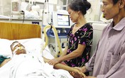 Cảnh báo xuất hiện nhiều ca ong đốt nguy kịch Cảnh báo xuất hiện nhiều ca ong đốt nguy kịch