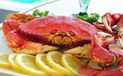 Người yếu, không nên ăn cua Người yếu, không nên ăn cua