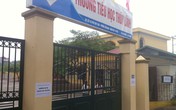 Náo loạn lịch học vì “heo vàng” Náo loạn lịch học vì “heo vàng”