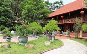 Hải Phòng: Ngôi nhà gỗ hoành tráng “mọc” trong cung thiếu nhi Hải Phòng: Ngôi nhà gỗ hoành tráng “mọc” trong cung thiếu nhi