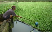 Xót xa cháu bé 6 tuổi bị sát hại vì 220 nghìn đồng Xót xa cháu bé 6 tuổi bị sát hại vì 220 nghìn đồng