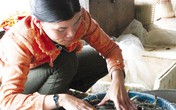 Bảo quản hải sản bằng urê, chất javel: Giảm trí nhớ, hại gan thận Bảo quản hải sản bằng urê, chất javel: Giảm trí nhớ, hại gan thận