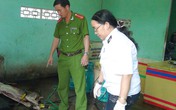 Biến lợn sề thành lợn rừng Biến lợn sề thành lợn rừng