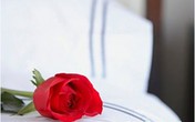Một đêm ngọt ngào! Một đêm ngọt ngào!