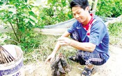 Rùng mình thịt... chuột Hà thành Rùng mình thịt... chuột Hà thành