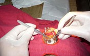 Có một ngân hàng không bao giờ lo… cướp: Chuyện những người “cấp vốn” không “đòi” lại Có một ngân hàng không bao giờ lo… cướp: Chuyện những người “cấp vốn” không “đòi” lại