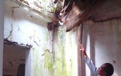 Di tích lịch sử đình Phúc Mậu cầu cứu Di tích lịch sử đình Phúc Mậu cầu cứu