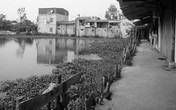 Hà Nội: Buông lỏng quản lý, đất công bị chiếm dụng Hà Nội: Buông lỏng quản lý, đất công bị chiếm dụng