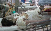 Vụ thiếu nữ bị thiêu sống ở Đà Nẵng: Đám cưới hụt và nỗi đau dang dở Vụ thiếu nữ bị thiêu sống ở Đà Nẵng: Đám cưới hụt và nỗi đau dang dở