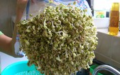 Giá đỗ có tác dụng giải độc đa năng Giá đỗ có tác dụng giải độc đa năng