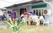 TPHCM: Triều cường “đánh úp”, dân bơ phờ TPHCM: Triều cường “đánh úp”, dân bơ phờ