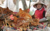 Nguy cơ cúm A/H7N9 vào Việt Nam rất lớn Nguy cơ cúm A/H7N9 vào Việt Nam rất lớn