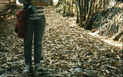 Tủi thân vì anh trai coi mình như ôsin Tủi thân vì anh trai coi mình như ôsin