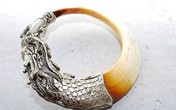 Đại gia Việt chi ngàn đô để đeo nanh vuốt Đại gia Việt chi ngàn đô để đeo nanh vuốt