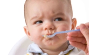 Bé gần tuổi rưỡi không chịu nhai Bé gần tuổi rưỡi không chịu nhai