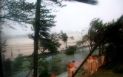 Bão số 11 tấn công: Biển Mỹ Khê dậy sóng dữ dội Bão số 11 tấn công: Biển Mỹ Khê dậy sóng dữ dội