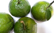 Cách giản đơn chữa viêm loét miệng hiệu quả Cách giản đơn chữa viêm loét miệng hiệu quả