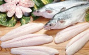 Làm thế nào phân biệt cá tra và cá basa? Làm thế nào phân biệt cá tra và cá basa?