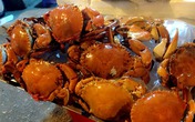 Đi ăn cua, ghẹ gánh vừa ngon vừa rẻ phố Hàng Giầy Đi ăn cua, ghẹ gánh vừa ngon vừa rẻ phố Hàng Giầy