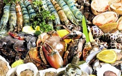 Mầm họa giun sán từ những món ăn khoái khẩu Mầm họa giun sán từ những món ăn khoái khẩu