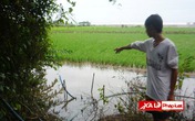 Thôn nữ sát hại bé gái 3 tuổi cướp đôi bông tai Thôn nữ sát hại bé gái 3 tuổi cướp đôi bông tai