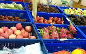 Nguy hại sức khỏe khi ăn hoa quả "hạ giá" Nguy hại sức khỏe khi ăn hoa quả "hạ giá"