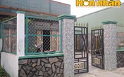 Vận may của 'đại gia vé số' trúng 8 giải độc đắc Vận may của 'đại gia vé số' trúng 8 giải độc đắc