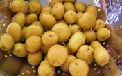 Ăn khoai tây để con bụ như…"Tây" Ăn khoai tây để con bụ như…"Tây"