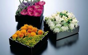 5 cách cắm hoa trẻ trung, đầy ấn tượng 5 cách cắm hoa trẻ trung, đầy ấn tượng